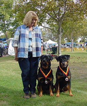 Boarding and Daycare, K9 Development, Tracy, CA