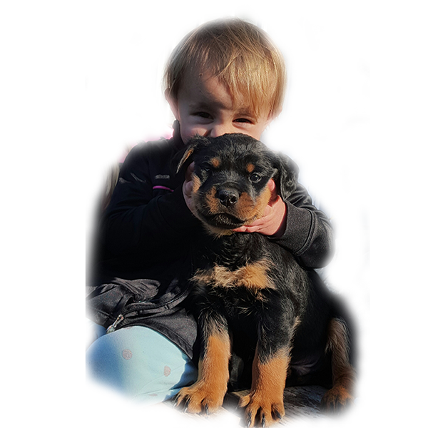 girl with a rottweiler