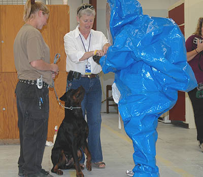 Dog with hazmat person