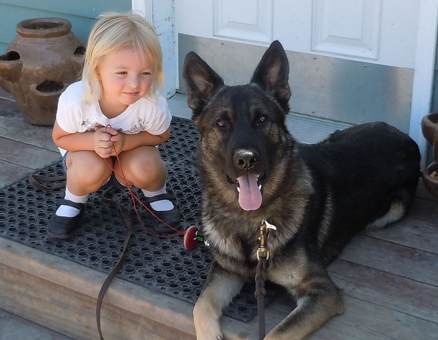 Young child with German Shapard